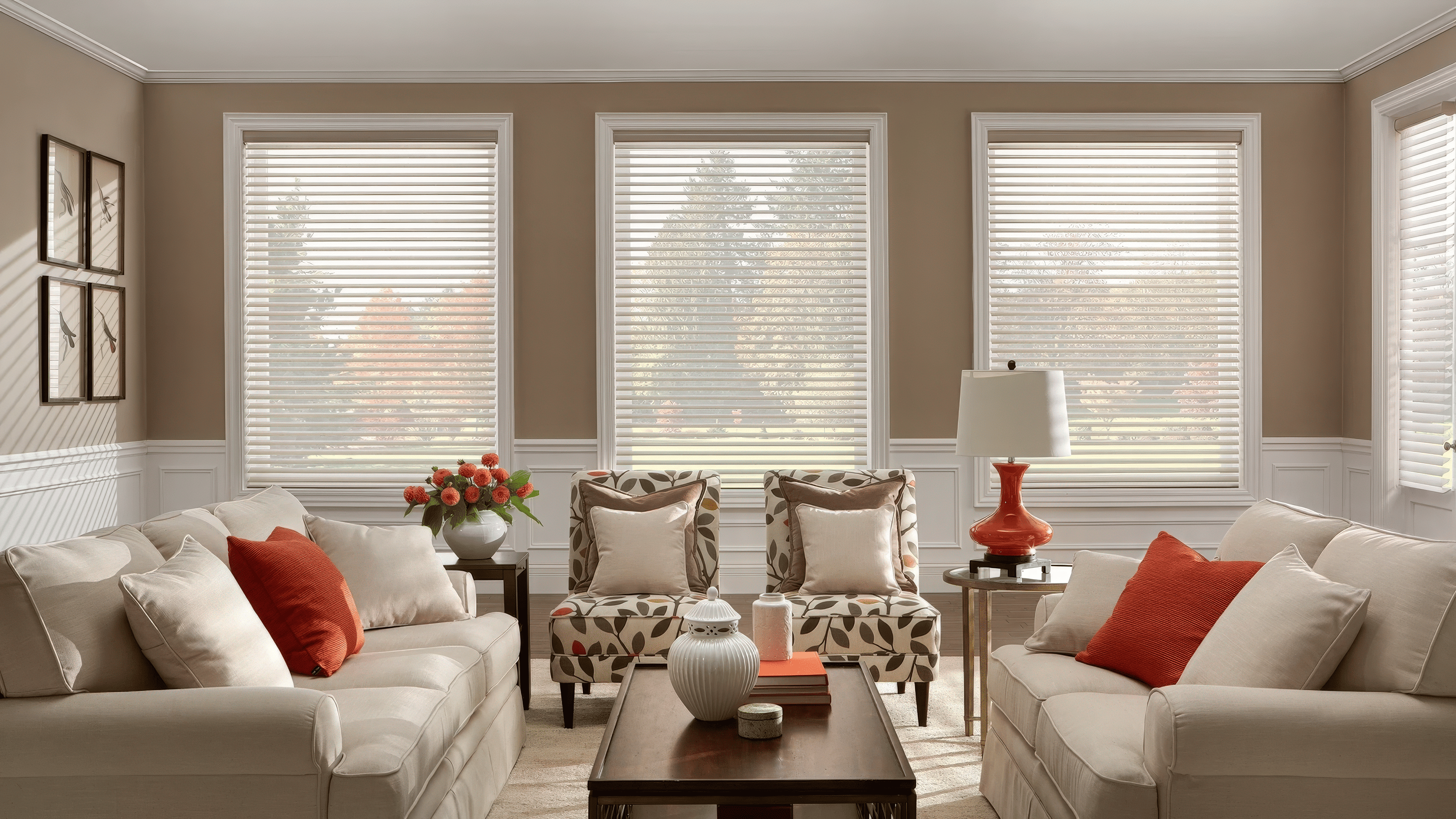 Motorized Blinds